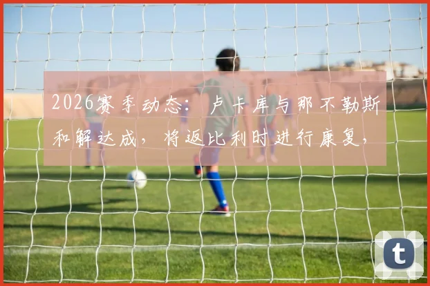 2026赛季动态:卢卡库与那不勒斯和解达成,将返比利时进行康复,附伤病恢复进展与未来关系解读